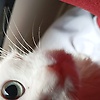 Yasmine_33549