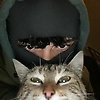 nabil_19431