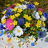 azi_45707