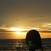 marwa_18