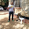 moses_53683