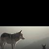karthik_33395