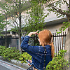 melisma_87712