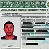 Rafaelpin