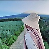 aira_13932