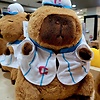 Phee_R22