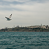ebc_80672