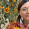 wu_38501