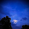 saad_71860