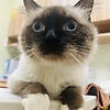 lee_69345