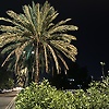 abdulaziz_83485