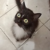 farhika_89569