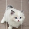 lily_96668
