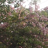 jonita_44720