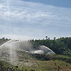 168988b_66633