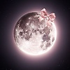 mohi_1809