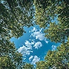 aisha_45993