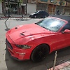 ariankurd5_59426