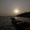 palak_569568