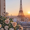 jasmine_37044