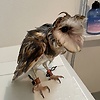Chembuga
