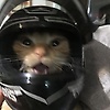 user_468819