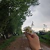 Lila9956433
