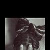 alwande_86633
