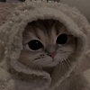 aya_86980
