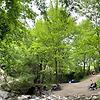 damla_72991