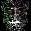 Ameer.H