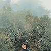 arip_54054
