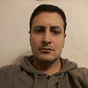 gatto73