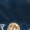 elmalki_36084