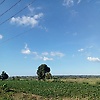 zaaa1z_40810