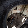 Ryslan313131