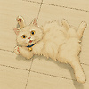 zola_70051