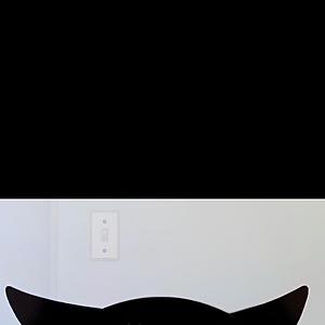 51+