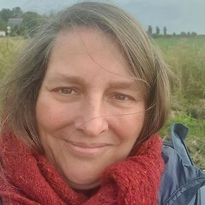 51+