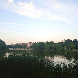 36-50