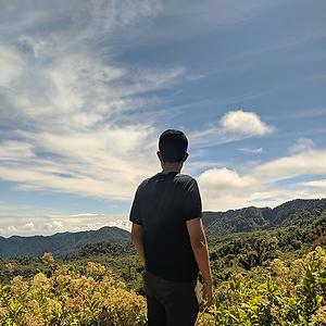 26-35