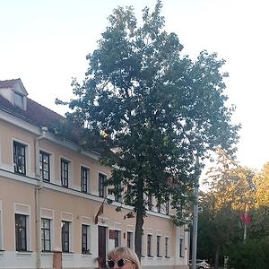 51+