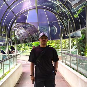 26-35