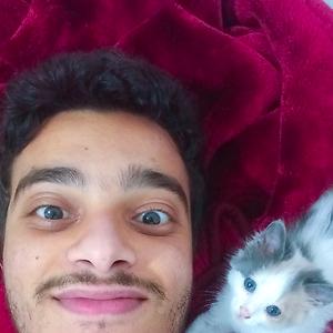 26-35