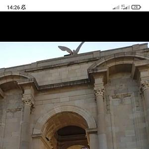 51+