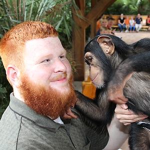 26-35
