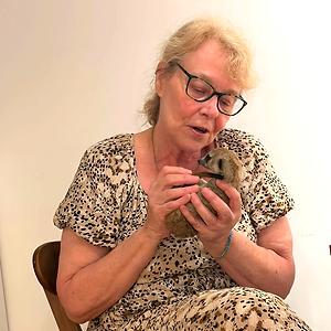 51+