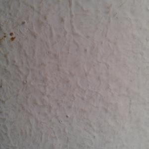 51+