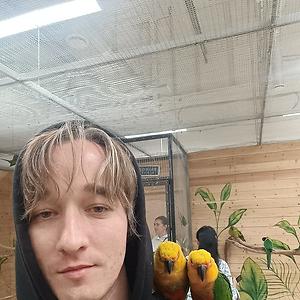 26-35
