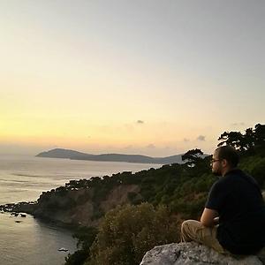 26-35